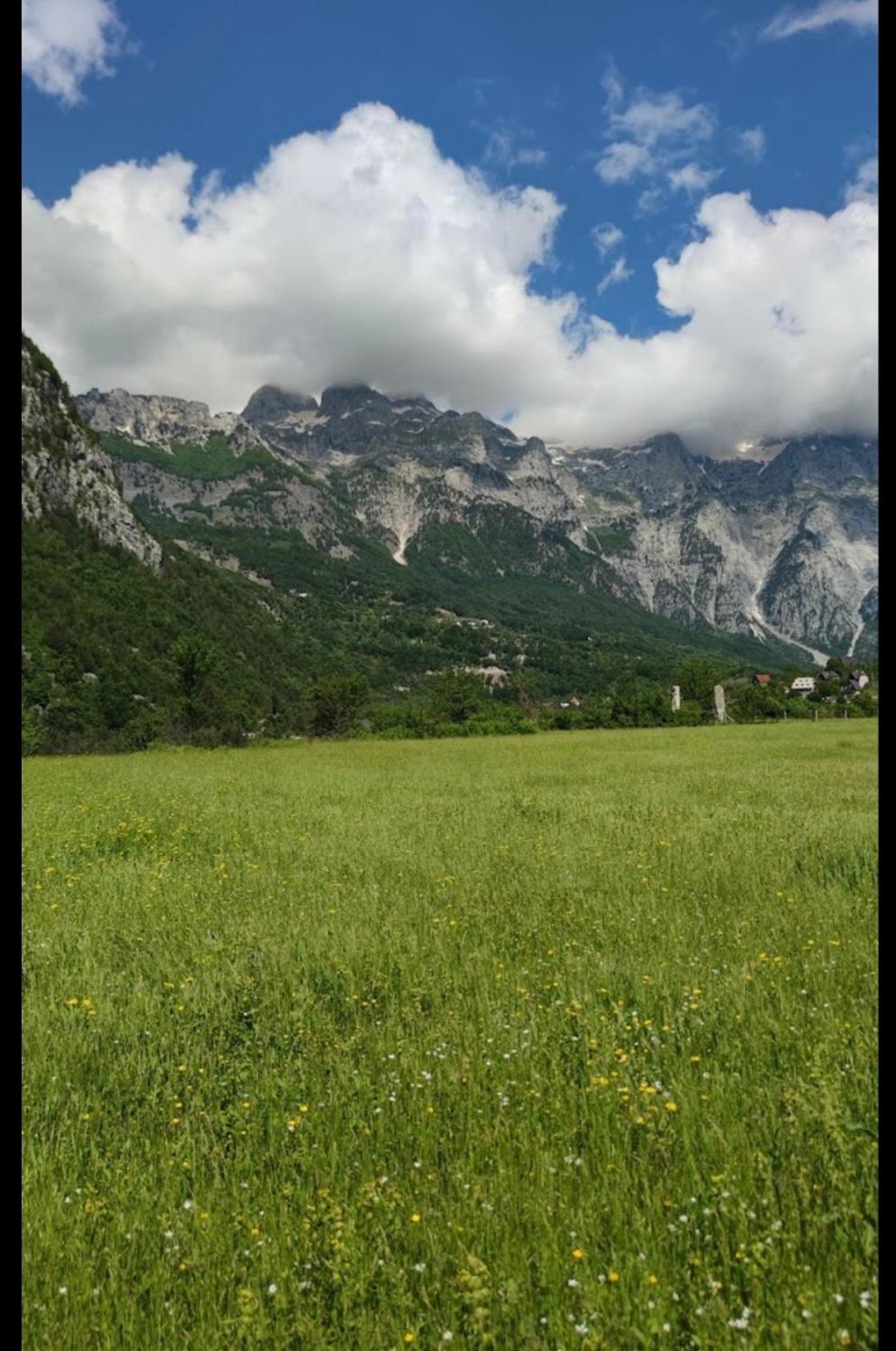 Bed and Breakfast Bujtina Pllumi Теті Екстер'єр фото