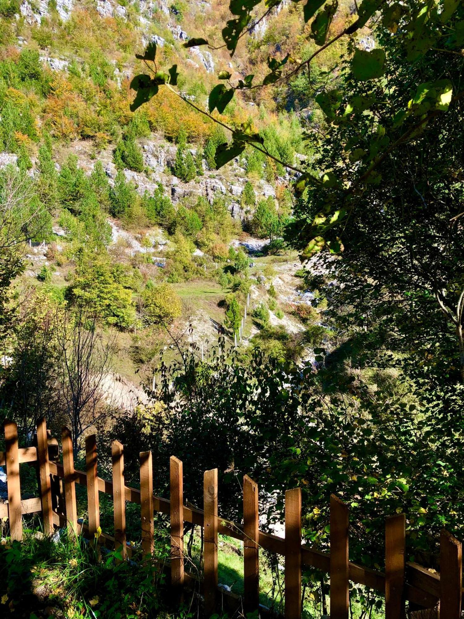 Bed and Breakfast Bujtina Pllumi Теті Екстер'єр фото